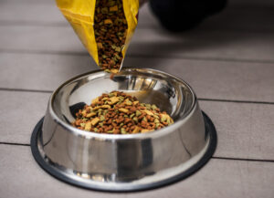 pienso vegano para perros